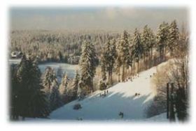 Rodelbahn hinter dem Freizeitzentrum